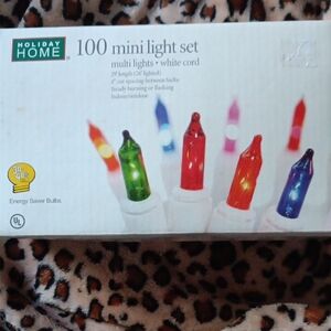 Holiday Home Multi-Color Mini Light Set